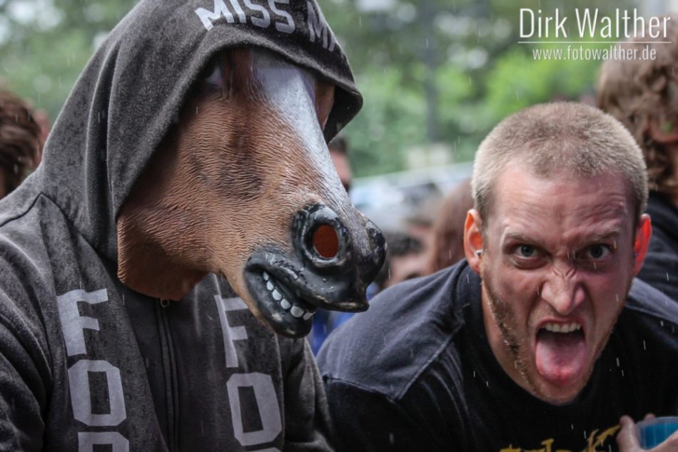 Da steht ein Pferd vorm Fotograben