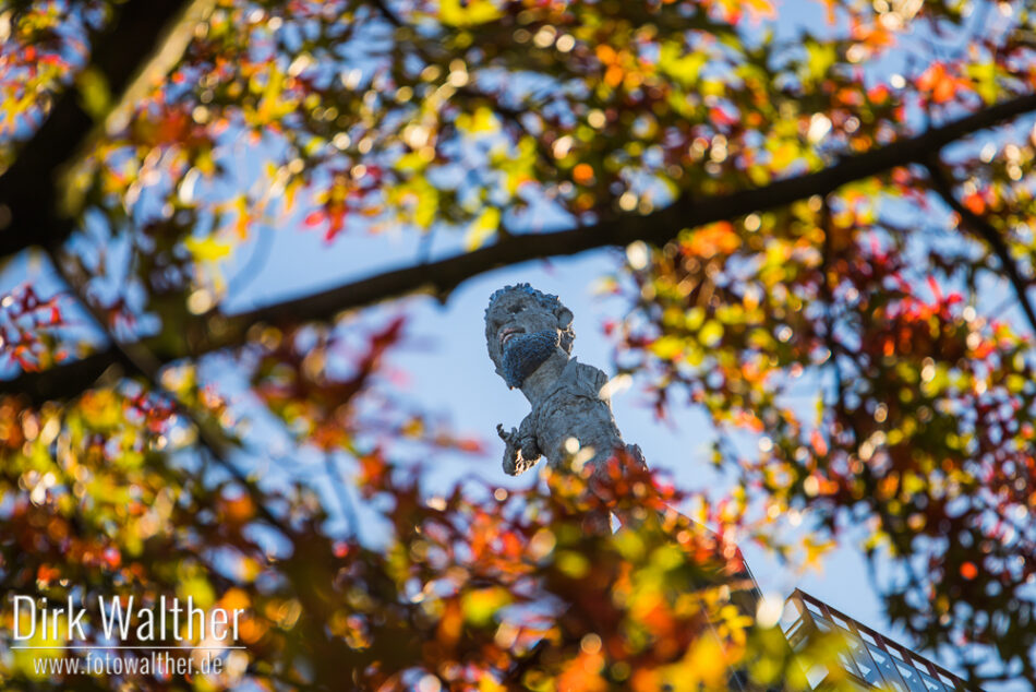Herbstkules
